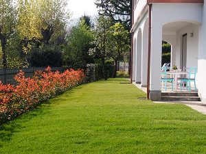 Le Farfalle B&B - esterno 2